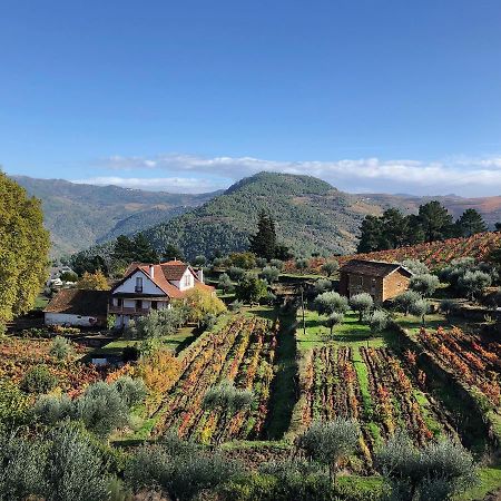 Quinta Vila Rachel - Winery Sao Mamede de Ribatua Bagian luar foto